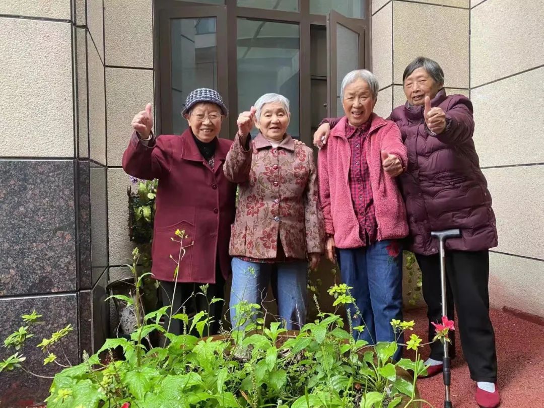 1651132513263305.jpg 15.jpg